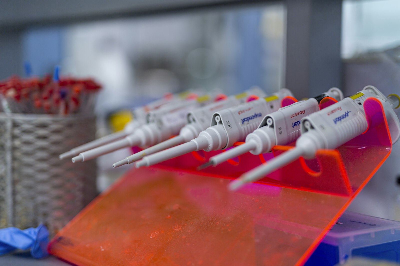 Laboratuvar test ekipmanları